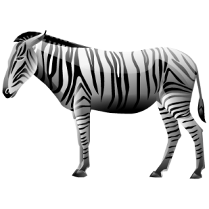 Zebra PNG image-8967